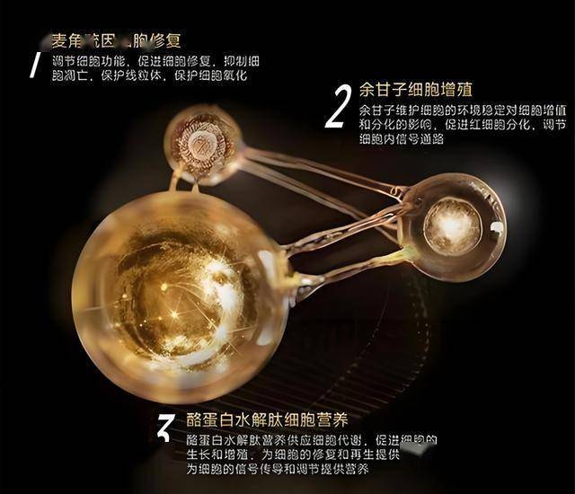 聊聊旱作农业对葡萄酒的作用