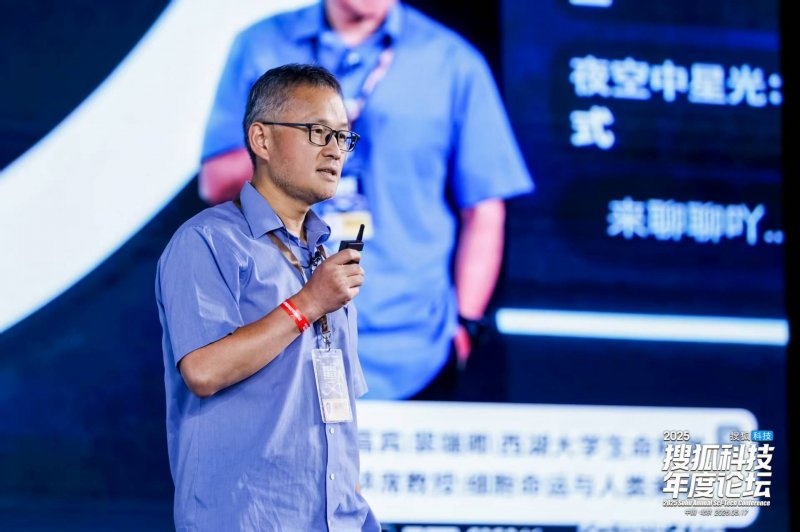 聚焦布鲁奈罗光环下的蒙塔希诺红葡萄酒