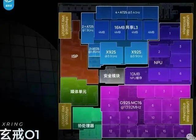 8年蝉联“性价比之选”：人气超凡的拉古斯